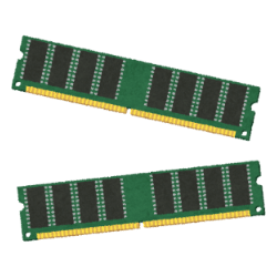 Ram